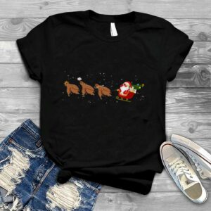 Sloth Reindeer Santa Face Palm Christmas shirt