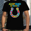Indianapolis Colts Acceptance Is The Cure Autism T Shirt