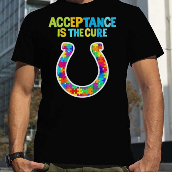 Indianapolis Colts Acceptance Is The Cure Autism T Shirt