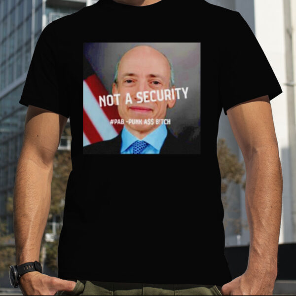 Not a Security Pab Punk Ass Bitch shirt