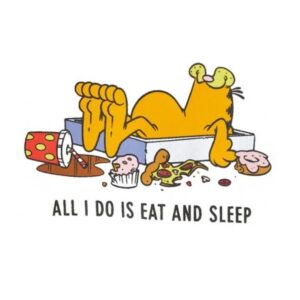 All I Do is Eat and Sleep Garfield T-shirt