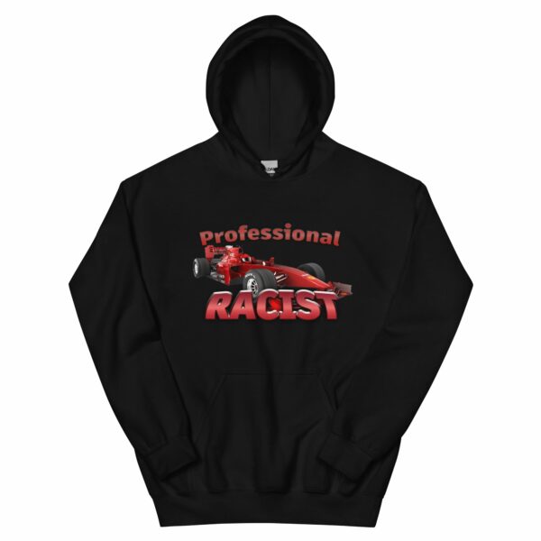 Professional Racist Hoodie