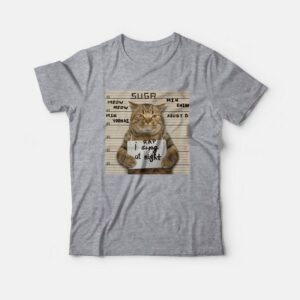 BTS Suga Meow Meow Min Yoongi I Rap At Night T-Shirt