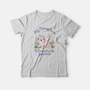 Cat My Tummy Hurts and I’m Mad At The Government T-Shirt Cat My Tummy Hurts and I’m Mad At The Government T-Shirt