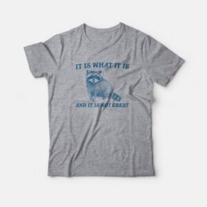 It Is What It Is And It Is Not Great Raccoon T-Shirt It Is What It Is And It Is Not Great Raccoon T-Shirt