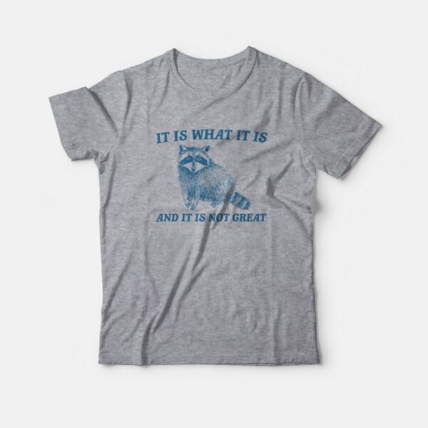 It Is What It Is And It Is Not Great Raccoon T-Shirt