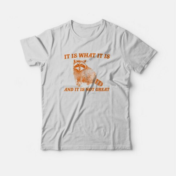 It Is What It Is And It Is Not Great Raccoon T-Shirt