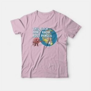 Lil Dicky Brain This Bitch Dont Know About Pangea T Shirt 4