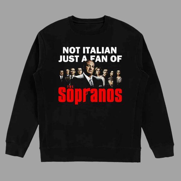 Not Italian Just A Fan T-shirt