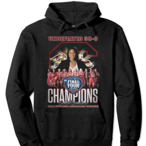 Undefeated 38-0 Champions South Carolina Ncaa Womens Basketball National T-shirt 2 Undefeated 38 0 Champions South Carolina Ncaa Womens Basketball National T shirt 3