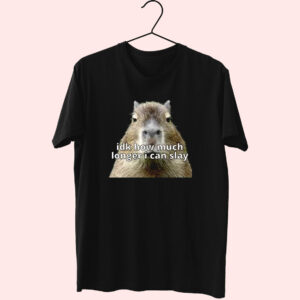 Dk How Much Longer I Can Slay Capybara Sarcastic Dank Funny T Shirt Dk How Much Longer I Can Slay Capybara Sarcastic Dank Funny T Shirt