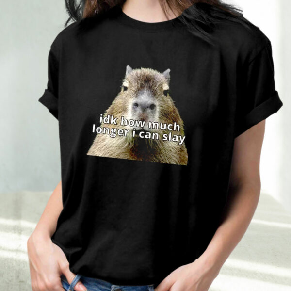 Dk How Much Longer I Can Slay Capybara Sarcastic Dank Funny T Shirt