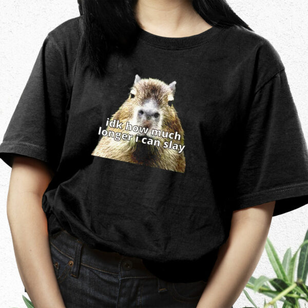 Dk How Much Longer I Can Slay Capybara Sarcastic Dank Funny T Shirt