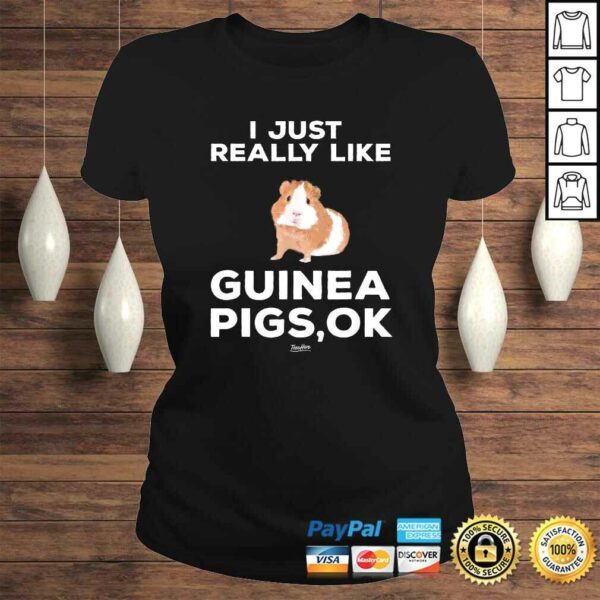 Funny I Just Really Like Guinea Pigs Ok Funny Guinea Mom Themed TShirt