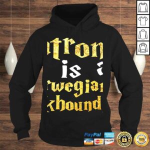 Norwegian Elkhound Shirt - Norwegian Elkhound gifts 3 Norwegian Elkhound Shirt Norwegian Elkhound gifts 4