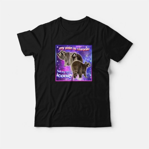 Raccoon My Pain Is Chronic But My Ass Is Iconic T-Shirt