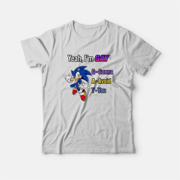 Sonic Yeah I’m Gay Gonna Avoid You T-Shirt