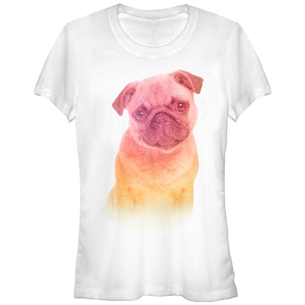 Junior_s Lost Gods Rainbow Pug T-Shirt