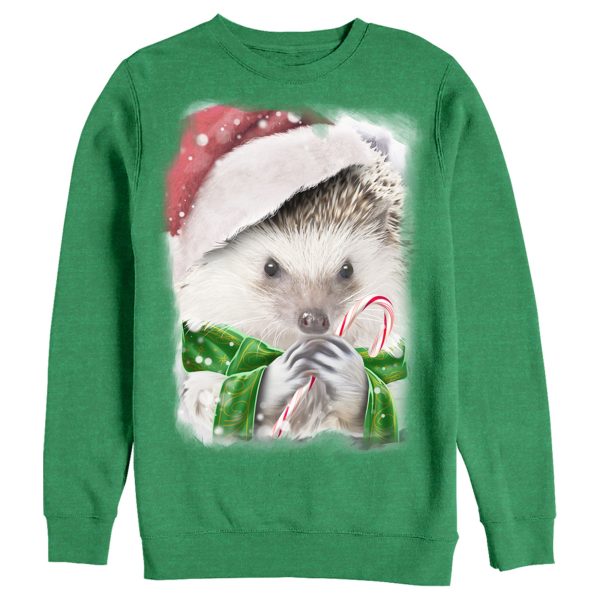 Men_s Lost Gods Christmas Hedhehog Sweatshirt