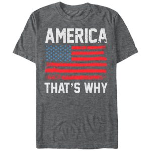 Men_s Lost Gods Fourth of July America That_s Why T-Shirt