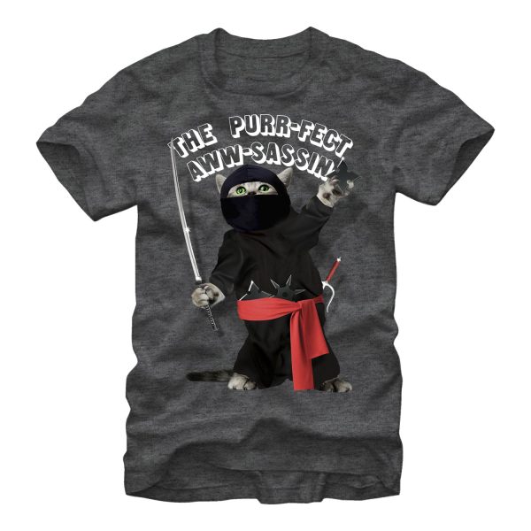 Men_s Lost Gods Perfect Aww-sassin Ninja Kitten T-Shirt