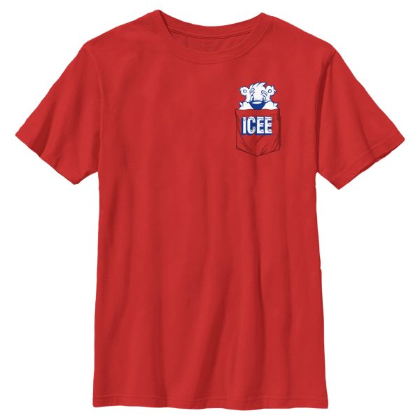 Boy’s ICEE Peekaboo Bear T-Shirt