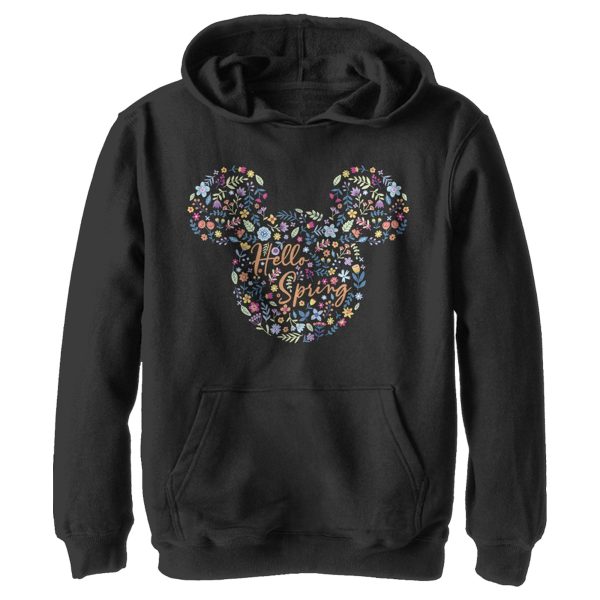 Boy’s Mickey & Friends Mickey and Friends Hello Spring Pull Over Hoodie