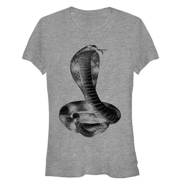 Junior’s Lost Gods Coiled Cobra T-Shirt