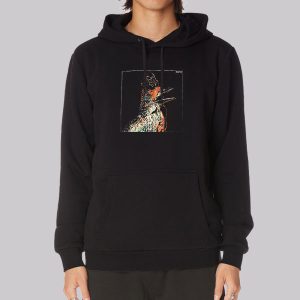 Bird Art Flume Merchandise Sweatshirt