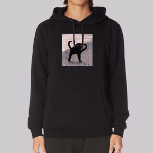 Cursed Cat Memes Angry as Fuk Sweatshirt