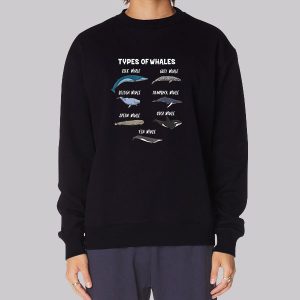 Cute Types of Whales Sweatshirt