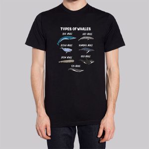 Cute Types of Whales Sweatshirt 2 Cute Types of Whales Sweatshirt 3