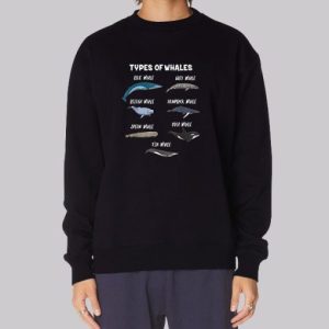 Cute Types of Whales Sweatshirt 3 Cute Types of Whales Sweatshirt 4