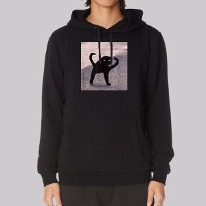 Funny Cursed Cat Meme Sweatshirt