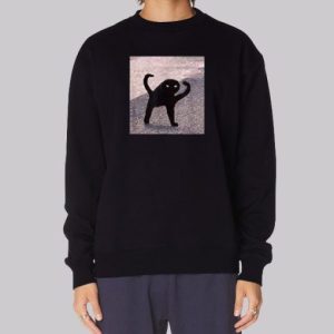 Funny Cursed Cat Meme Sweatshirt 4