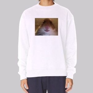 Funny Face Hamster Staring Sweatshirt