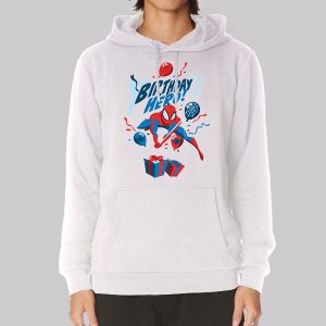 Funny Hero Spider Man Birthday Sweatshirt